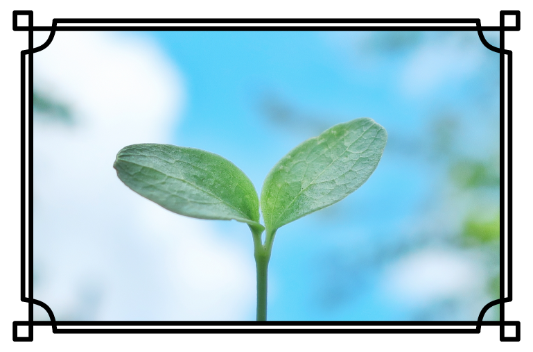 めばえ組イメージ